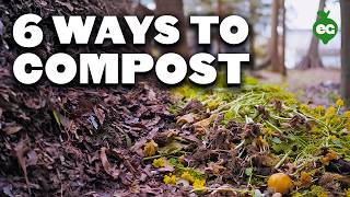 6 Different Ways To Compost No Matter Where You Live [upl. by Horodko]