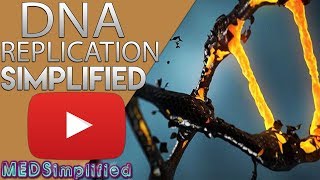 DNA Replication Made Easy [upl. by Anirrak]