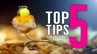 TOP 5 TIGER NUT TIPS For Catching More Carp Including 2 Carp Rigs Mainline Baits Carp Fishing TV [upl. by Geanine]