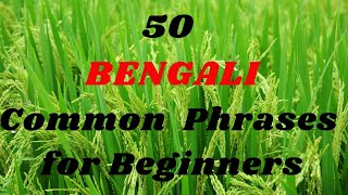 50 Common BENGALI Phrases for Beginners [upl. by Edny336]