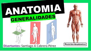 ▌ANATOMÍA ▌INTRODUCCIÓN Y GENERALIDADES Posición Anatómica  Planimetria ▌💀 [upl. by Assetniuq346]