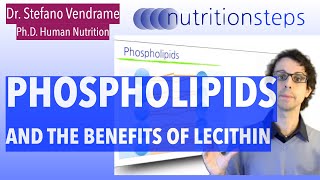 Phospholipids and The Benefits Of Lecithin [upl. by Airam573]