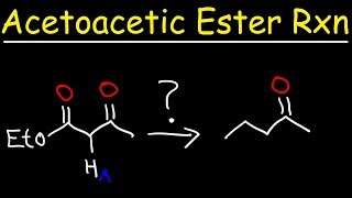 Acetoacetic Ester Synthesis Reaction Mechanism [upl. by Yrrem]