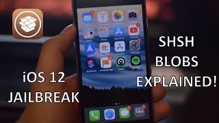 iOS 12 SHSH BLOBS EXPLAINED  How to save and use them [upl. by Walczak872]