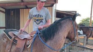 Horse Training  First Ride First Mount [upl. by Akoek765]