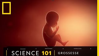 Tout comprendre sur  la grossesse [upl. by Ursa]