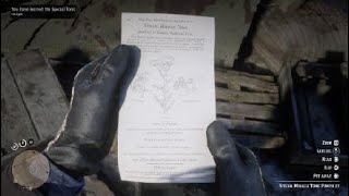 Red Dead Redemption 2 Special Miracle Tonic Location [upl. by Robert]