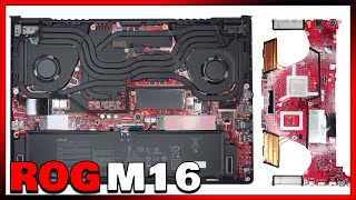 ASUS ROG Zephyrus M16 GU603 Disassembly Teardown Repair Video Review [upl. by Yngad]