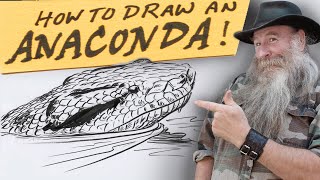 HOW TO DRAW AN ANACONDA Beginner  Intermediate Level [upl. by Loredana178]