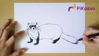 How to Draw Ferret step by step Simple [upl. by Demahum424]