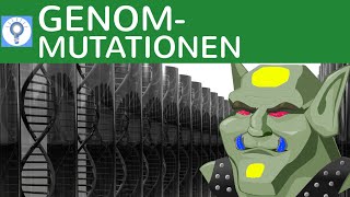 Genommutationen Trisomie Monosomie GeschlechtsAnomalien DownSyndrom  3  Genetik [upl. by Bonneau526]