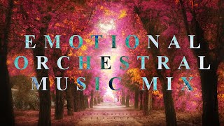 1 Hour Of The Most Beautiful Emotional Orchestral Music [upl. by Isidoro]