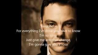 Tiziano Ferro  Perdono English Version lyrics [upl. by Kennet943]