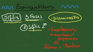 Espiroquetas Treponema pallidum  Resumo  Microbiologia [upl. by Nuawtna113]