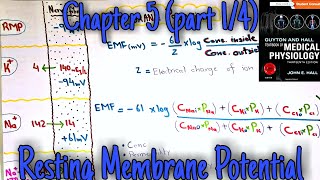 Resting membrane potential  chapter 5 part 14  Guyton and hall text book of medical physiology [upl. by O'Kelly]