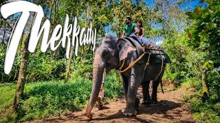 Thekkady  Elephant Ride  Periyar Tiger Reserve [upl. by Leima]