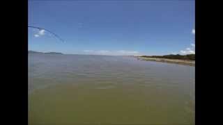 Salt water barramundi fishing [upl. by Kingsley]