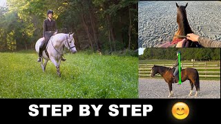 HOW TO RIDE A HORSE FOR BEGINNERS STEP BY STEP 🐎 [upl. by Ottie]