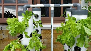 DIY Vertical Hydroponic System using 4 Towers Part 3  hydroponic farming at home [upl. by Fi]