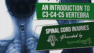 C3 C4 C5 Definitions Cervical Spinal Cord Injury Symptoms Causes Treatments and Recovery [upl. by Gerhardt]