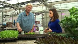 The Big Idea Hydroponic and Vertical Farming [upl. by Casta]