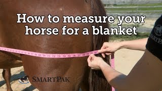 How to measure your horse for a blanket [upl. by Frechette]