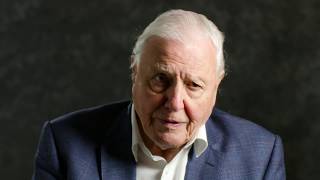 Sir David Attenborough  A message to world leaders [upl. by Chuipek]