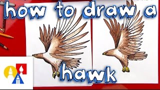 How To Draw A Realistic Hawk [upl. by Ailekat253]