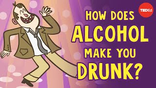 How does alcohol make you drunk  Judy Grisel [upl. by Korella]