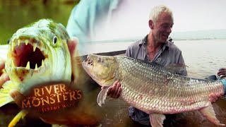 The Terrifying Tigerfish  TIGERFISH  River Monsters [upl. by Aener]