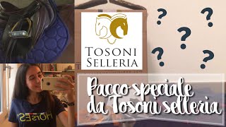 Pacco molto speciale da Tosoni selleria  EQUESTRIAN KATY [upl. by Esiled]