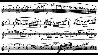 Richard Strauss  Oboe Concerto TrV 292 1945 [upl. by Mansfield400]