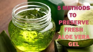 Preserve Aloe Vera Gel At Home [upl. by Monahan]