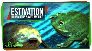 Estivation How Mucus Saved My Life [upl. by Jonny570]