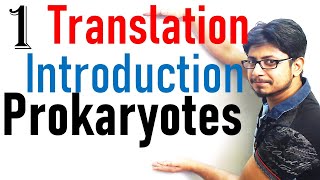 Translation in prokaryotes introduction  prokaryotic translation lecture 1 [upl. by Yeltsew500]