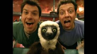 Zoboomafoo  Theme Song [upl. by Carmina]