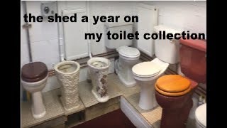 The shed a year on my toilet collection [upl. by Oliy804]