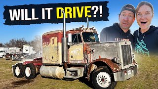 Will it DRIVE Our 1984 359 Peterbilt REVIVAL [upl. by Eam821]