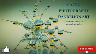 Macro Photography Dandelion Art For Beginners [upl. by Ennairam]