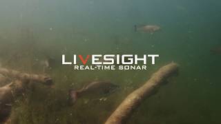 Fish in realtime with NEW LiveSight™ Sonar  Lowrance [upl. by Aura]