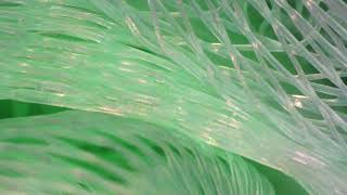 Shower loofah under the microscope [upl. by Hanas]