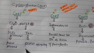 NSAID Pharmacology introduction [upl. by Crandell]