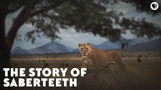 The Story of Saberteeth [upl. by Elisha]