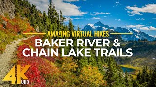 4K Virtual Hike Near River through the Forest  Baker River Trail amp Chain Lake Trail [upl. by Yssis864]