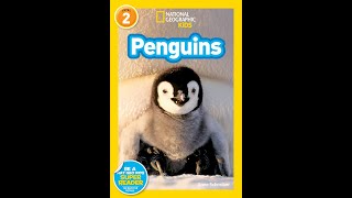 National Geographic Kids Penguins read aloud [upl. by Devinna]