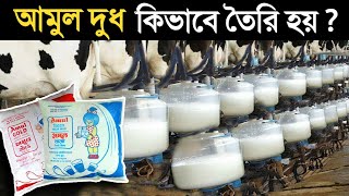 কারখানায় কীভাবে আমুল দুধ তৈরি হয়  The Story of Banas Dairy  Amul Milk Factory in Bangla [upl. by Bred]