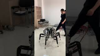 Hexapod Walking Robot Spider Xii DEMO Part  2 [upl. by Yrelav]