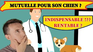 MUTUELLE POUR CHIEN [upl. by Dde]