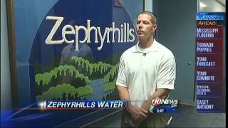 Zephyrhills Spring Water [upl. by Tingey]