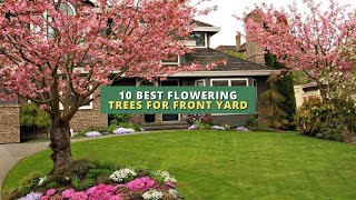 10 Best Flowering Trees for Front Yard 🌳🌸🏠 [upl. by Kcirdek599]